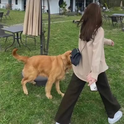妳好,安妮